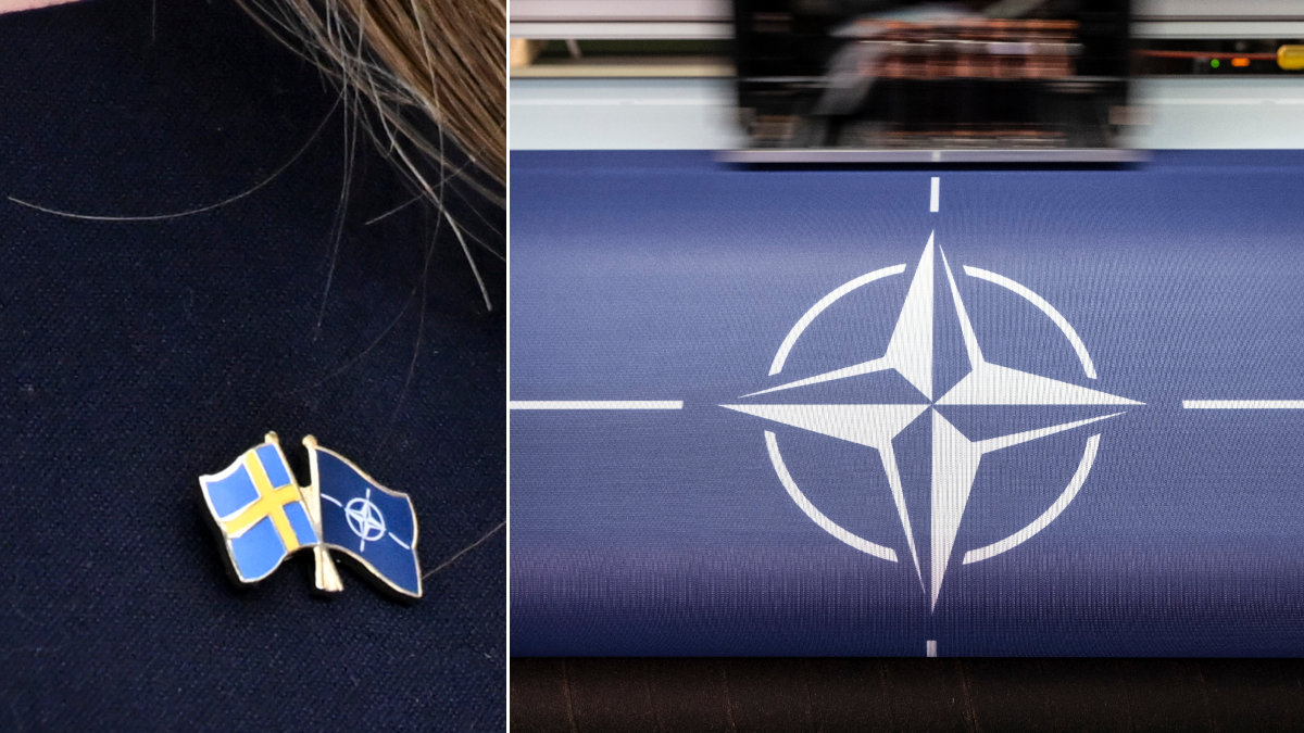 Sverige går med i Nato.